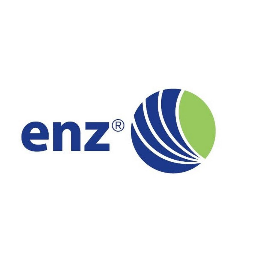 ENZ Logo